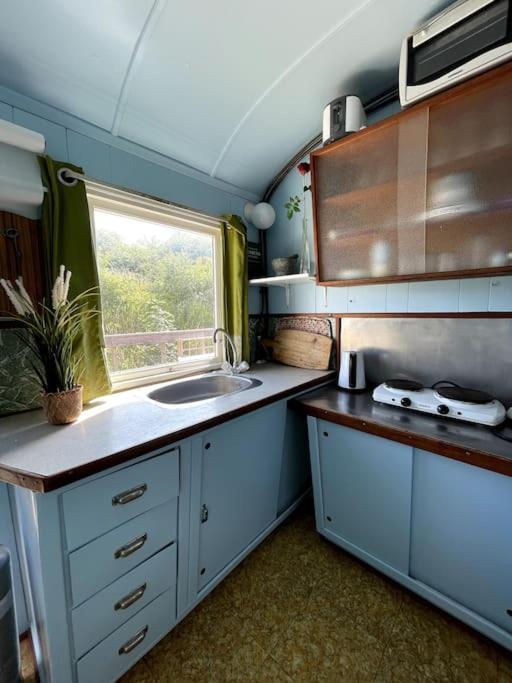 Fjordhytten. Rebuild Train Wagon From 1937. Apartment โอเดนเซ ภายนอก รูปภาพ